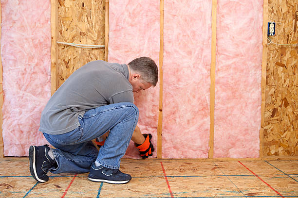 Best Types of Insulation in Pomona, CA